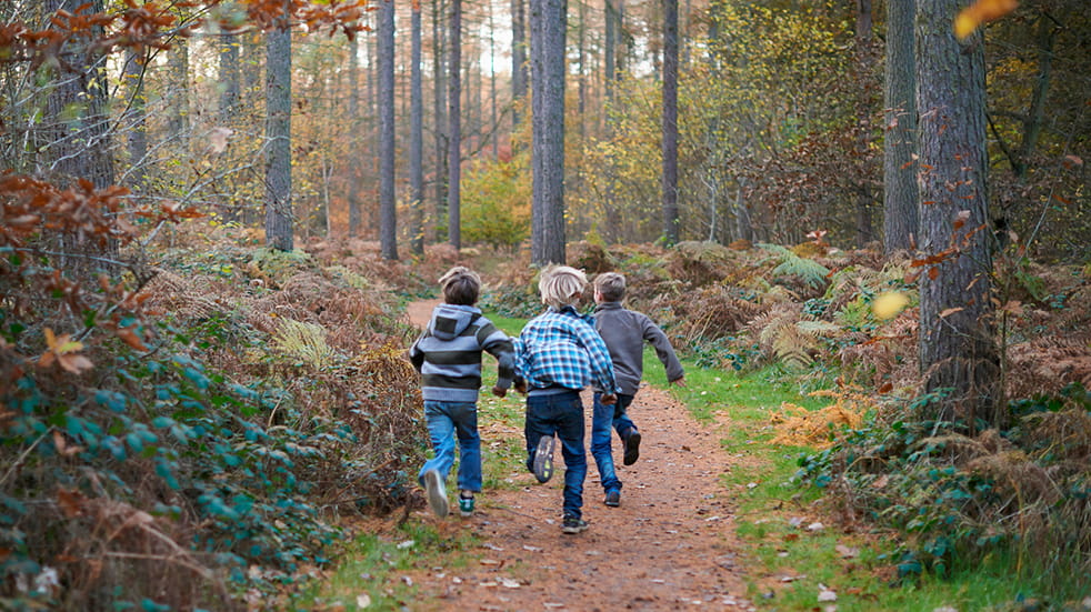 October half-term activities children running forest